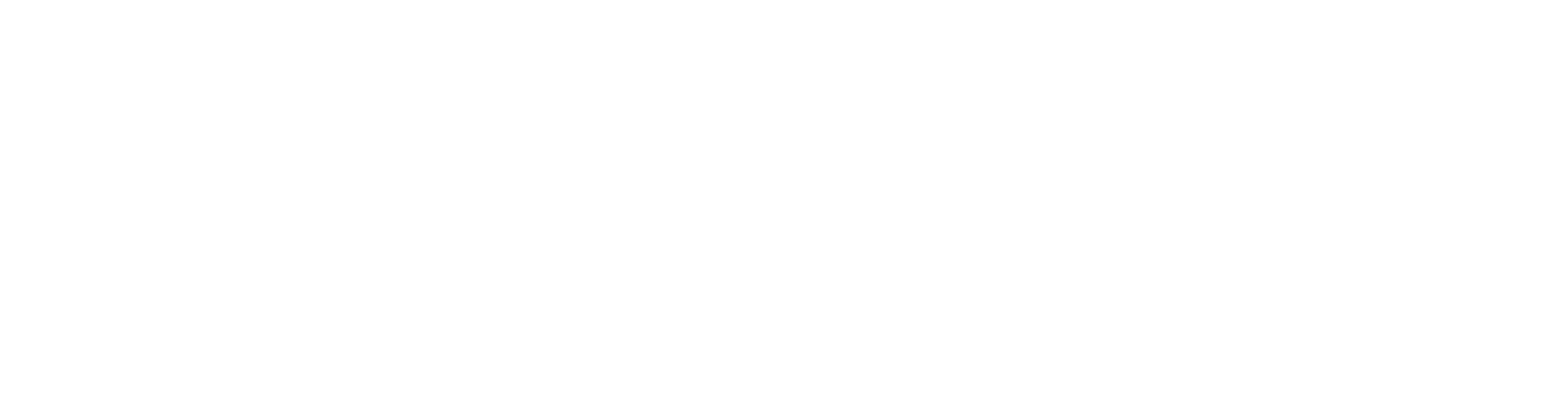 Bešnjaja
